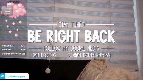 midori__san free recording from 2026-01-19 00:26:00