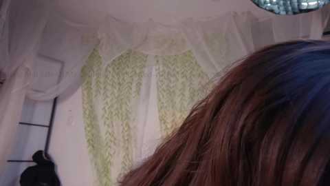 mollyflwers free recording from 2026-01-19 00:26:00