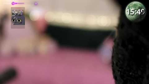 archancel free recording from 2026-01-20 00:46:00