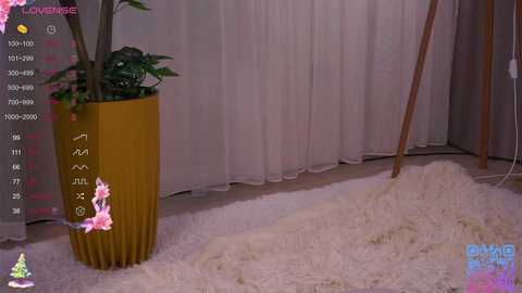 cinacandy free recording from 2026-01-20 01:05:00