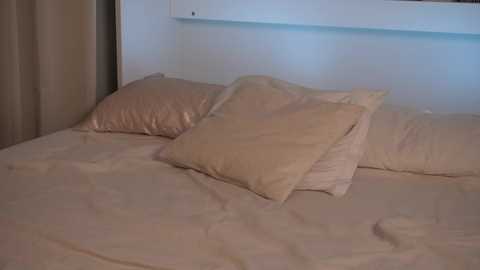 ellinrose free recording from 2026-01-20 00:46:00