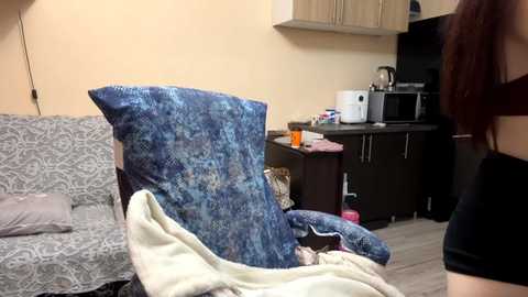Video of a cozy, cluttered living room with a blue-patterned couch, beige blanket, and kitchenette in the background featuring a microwave, kettle, and utensils.