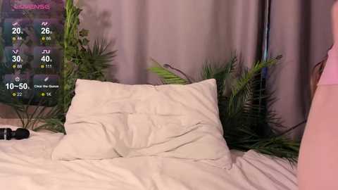 kittyloffe free recording from 2026-01-20 00:56:00