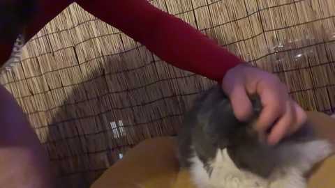 machinebumkelly free recording from 2026-01-20 00:46:00