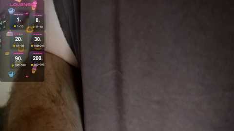 samarafromthewell free recording from 2026-01-21 00:06:00