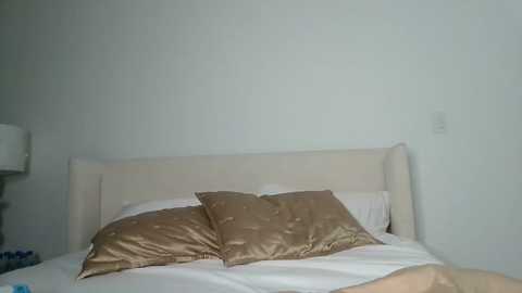Video of a minimalist bedroom with a beige upholstered headboard, two gold satin pillows on a white bedspread, and a plain white wall.