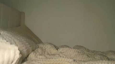 taliavaine free recording from 2026-01-22 00:08:00