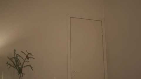 _2strangers free recording from 2026-01-22 00:13:00