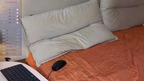 brightrays__ free recording from 2026-01-22 02:37:00