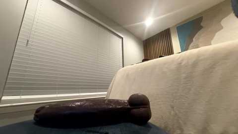 Video of a dimly lit bedroom with beige walls, white blinds, and a large, dark brown dildo on a blue blanket, suggesting a sensual atmosphere.