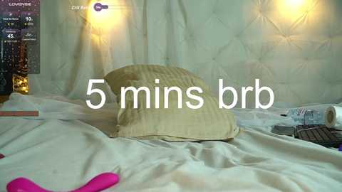 Video of a neatly made bed with a beige pillow, white sheets, and a pink vibrator on the left. The background features a white, tufted headboard and two warm, yellow lamps. Text reads \"5 mins brb\" overlayed.