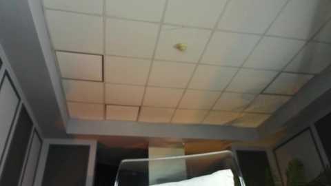 Media: Video of a modern office ceiling with square white tiles, a yellow light fixture, and fluorescent lighting. The room has white walls and a glass door in the foreground.