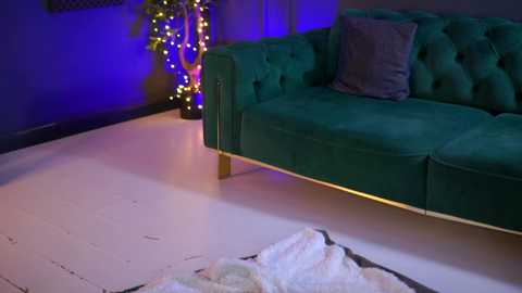 Video of a modern living room with a plush green velvet sofa, dark wooden floor, and a cozy white shag rug. A festive string of multicolored lights adorns a tall plant in the background.