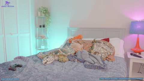 Media: Video of a messy bedroom with a bed covered in patterned pillows, a white headboard, a bedside table with a lamp, and a potted plant in the corner.