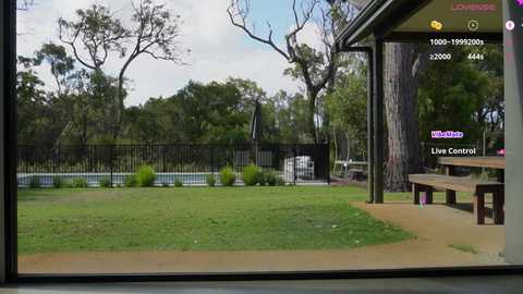 bellebabyboo free recording from 2026-01-23 00:38:00