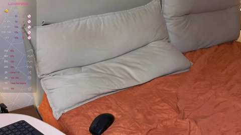 brightrays__ free recording from 2026-01-23 00:38:00