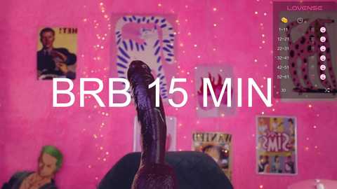 Video of a small, dark-skinned, reptilian creature with a prominent erect penis, against a pink background adorned with posters and a video game screen. Text reads \"BGB 15 MIN.\