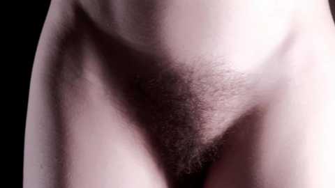 club_void free recording from 2026-01-23 00:34:00