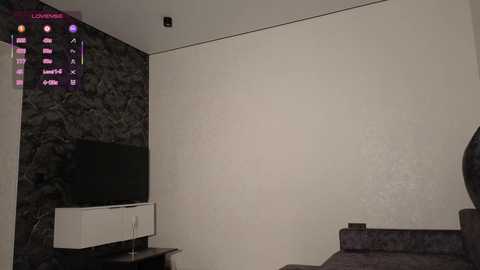 Media: Video of a modern living room with a large, blank, off-white wall. A black TV stand with a flat-screen TV sits against a textured stone wall.