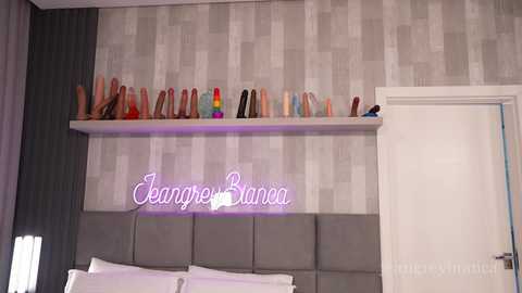 Video of a modern bedroom with a gray upholstered headboard, a light gray and white geometric-patterned wallpaper, and a shelf displaying a variety of sex toys. The door is white with a silver handle.