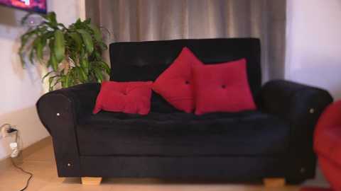 Video of a modern, black velvet sofa with two red cushions, situated against a grey curtain backdrop in a cozy living room with a potted plant and a TV visible.