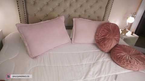 Media: Video of a plush, pastel pink and white bedroom with tufted headboard, a bed dressed in white bedding, and matching pink pillows and shams.