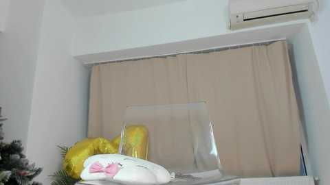 Media: Video of a small, neat room with a beige curtain covering a window. On the windowsill, a yellow plush toy, a white pillow with a pink bow, and a framed photo are visible. An air conditioning unit is mounted on the wall above.