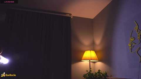 bellacle free recording from 2026-01-24 00:18:00