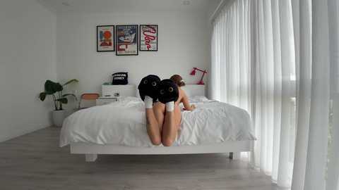 Media: Video of a modern, minimalist bedroom with white walls, a white bed, sheer curtains, and a woman kneeling in white lingerie on the bed, facing the camera.