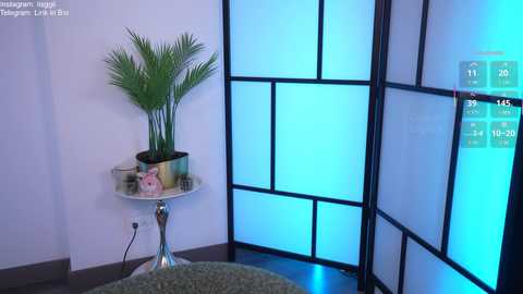 Video of a modern, minimalist room with a white wall, a round table holding a potted plant, and a translucent blue screen divider. A pink plush toy is visible on the table.