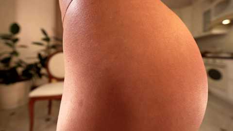 heybanan free recording from 2026-01-24 00:37:00