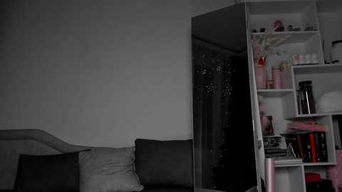 A dimly lit video of a cozy, cluttered living room with a gray sofa, white bookshelf, and a partially open door revealing a dark hallway.