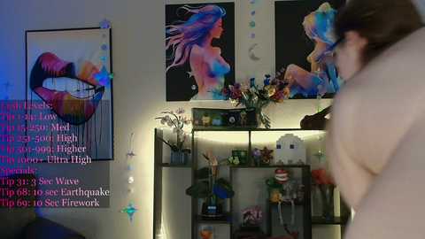 Video of a dimly lit room with a nude person in the foreground, two abstract paintings on the wall, and shelves with various objects.