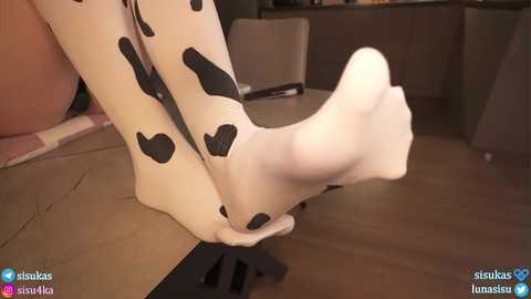 sisukass free recording from 2026-01-24 00:14:00