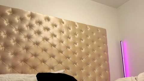Video of a modern bedroom featuring a gold tufted headboard with a diamond pattern, a tall purple floor lamp, and a black and white bedspread.