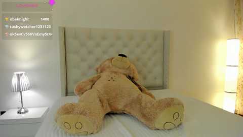 Video of a plush teddy bear on a white bed with a tufted headboard, set in a softly lit, minimalist bedroom with a white nightstand and lamp.