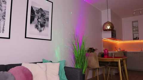 Video of a modern living room with a gray sofa, white and teal throw pillows, black-and-white framed art, a tall green plant, and a golden dining table with chairs, illuminated by purple and pink LED lights.