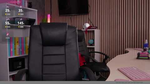 A video of a modern office desk with a black leather chair, vertical wood-paneled wall, shelves with colorful binders, a flat-screen monitor, and a white keyboard.