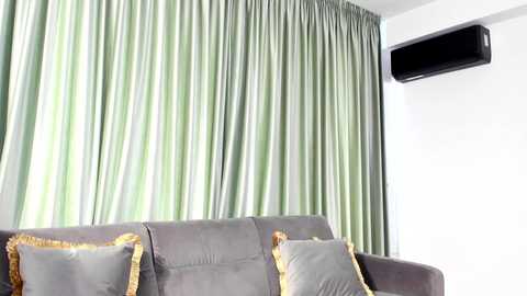 Video of a modern living room with a gray sofa adorned with gold-accented pillows, green and white striped curtains, and an air conditioner mounted on the white wall.