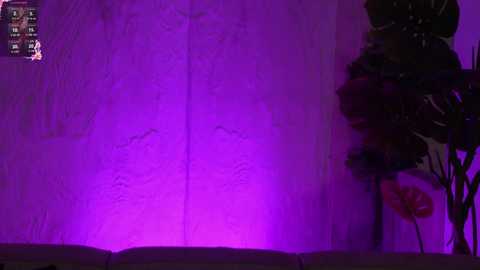 kira0541 free recording from 2026-01-25 00:47:00