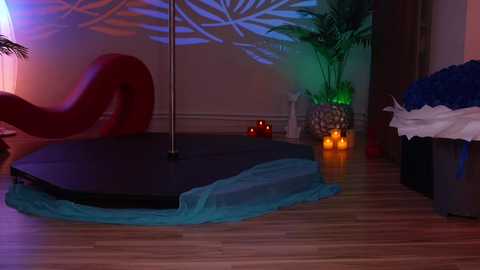 kittycaitlin free recording from 2026-01-25 01:02:00