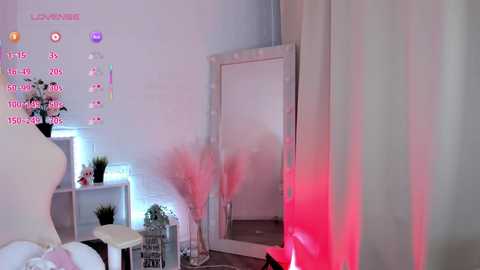 Video of a modern, minimalist room with white walls and furniture. A large mirror reflects a white chair and pink pampas grass.
