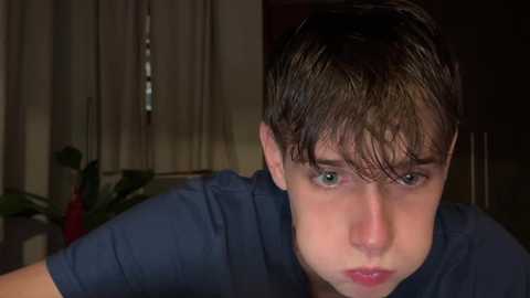 Video of a young man with short brown hair, pale skin, and green eyes, wearing a dark blue shirt, looking serious. Background shows a potted plant and beige curtains.