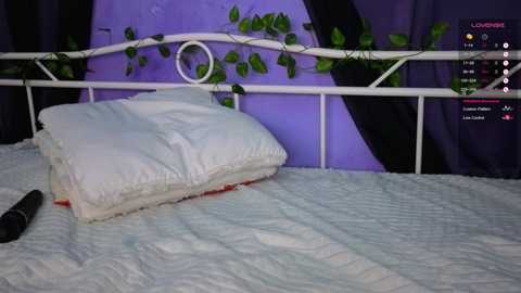 A video of a bed with a white metal headboard adorned with green vines, featuring a white pillow and light blue quilted blanket, with a black dildo on the bed.