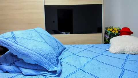 Video of a neatly made bed with blue quilted bedspread and matching pillows, featuring a stuffed white dog toy and a red hat. Modern wooden headboard and small flower vase in the background.