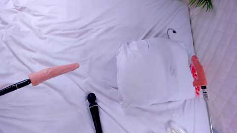 dakota_blare free recording from 2026-01-26 00:07:00