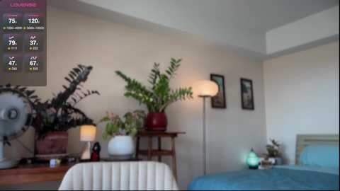 girl_next_door19 free recording from 2026-01-26 00:14:00