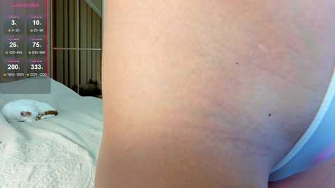 oh_julie free recording from 2026-01-26 00:14:00