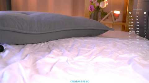 oke_doke free recording from 2026-01-27 00:26:00