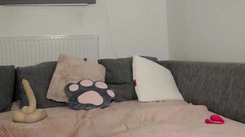 Video of a beige couch with a pink blanket, two pillows, and a dildo on the floor, in a dimly lit room.